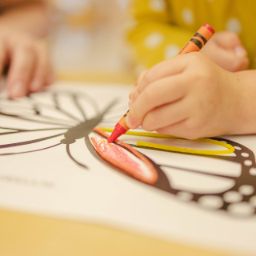 Scuola dell'infanzia statale l'isola che non c'è