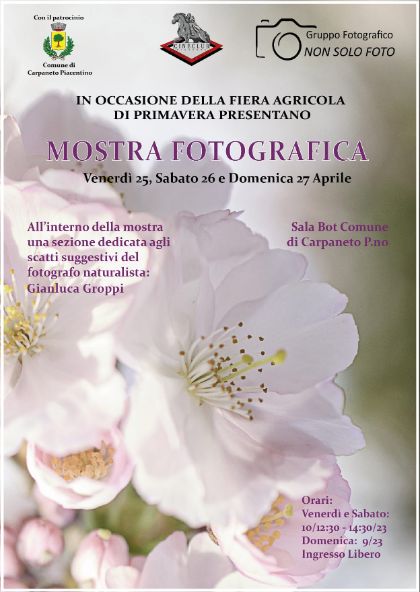 Mostra Fotografica