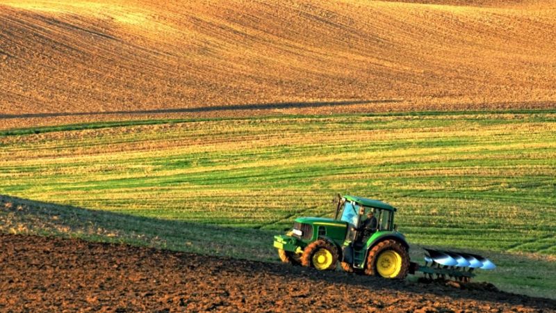 immagine agricoltura 