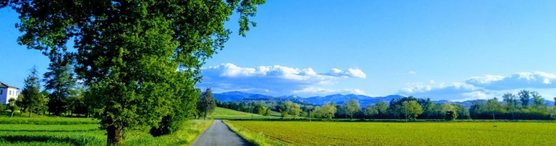 Comune di Carpaneto Piacentino
