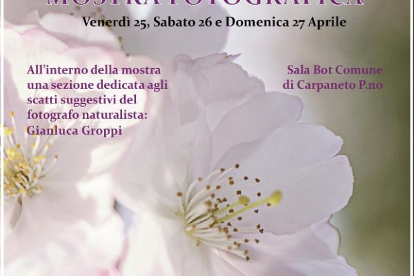 SCS - Mostra Fotografica Nonsolofoto e il Cineclub Piacenza Fiera Agricola di Primavera 2025
