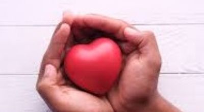 cuore progetto vita piccolo cuore progetto vita piccolo