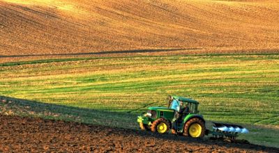 immagine agricoltura 